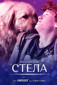  Стела 